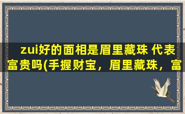 zui好的面相是眉里藏珠 代表富贵吗(手握财宝，眉里藏珠，富贵天成！)